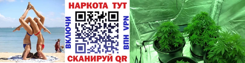 Купить наркотик Игарка Конопля КОКАИН Псилоцибиновые грибы Меф Гашиш