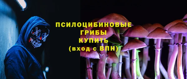 стаф Абинск