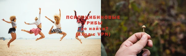 гашик Алзамай